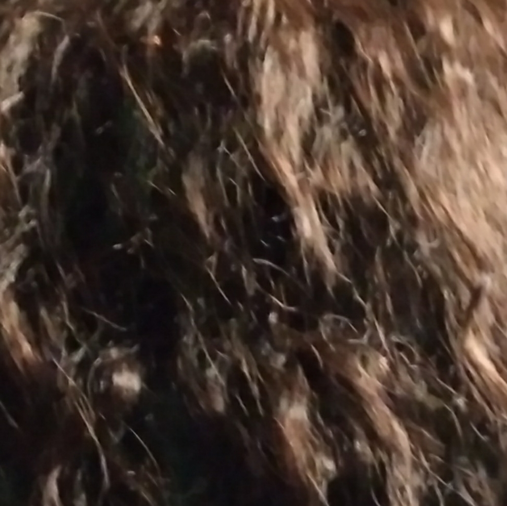 HAIR - Picture 4 of 5